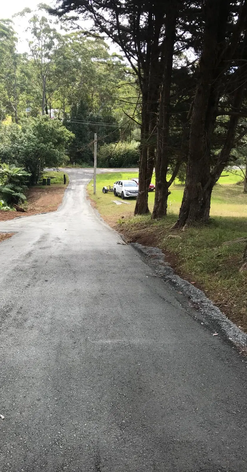 Concrete access driveway through bush